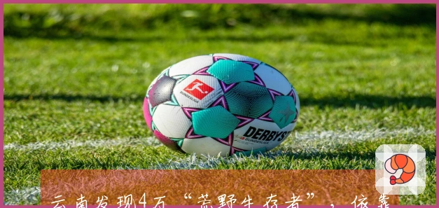 云南发现4万“荒野生存者”，依靠野果维生的神秘族群究竟是谁？